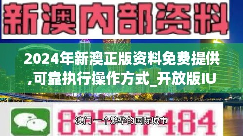 2024新澳正版免费资料的特点,效率资料解释落实_set36.547