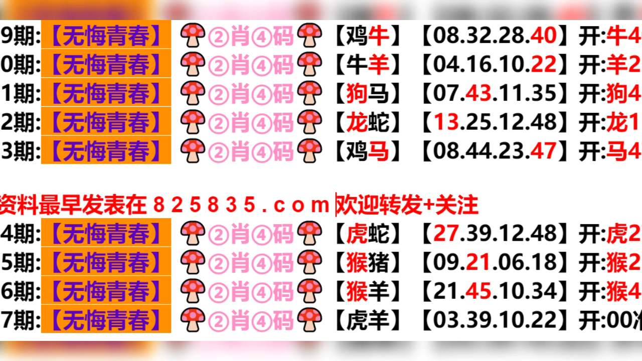 2024新澳门天天开好彩大全孔的五伏,最新热门解答落实_交互版85.519