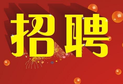 怀远招聘网最新招聘动态深度解析与解读